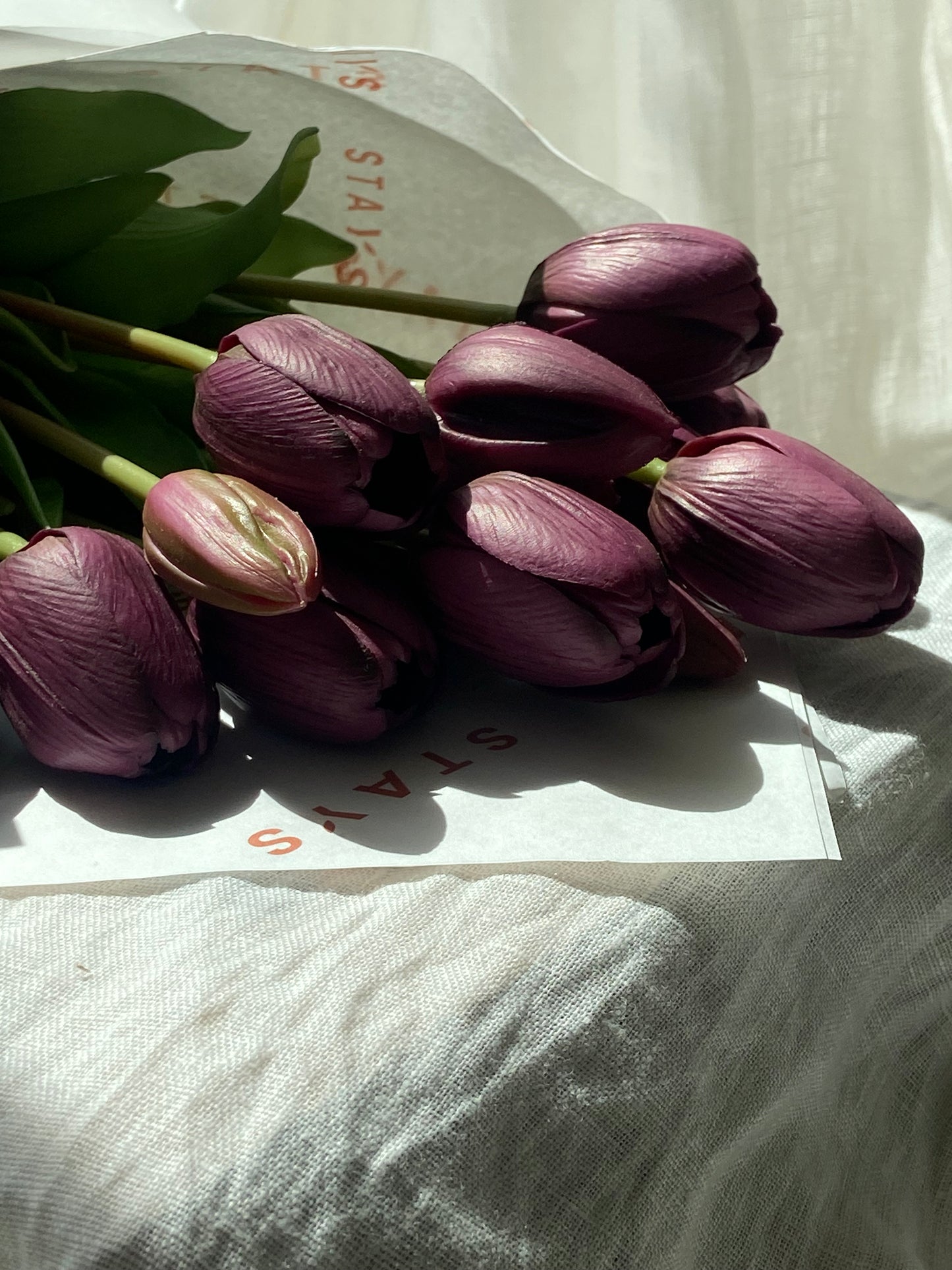Tulpen Bordeaux